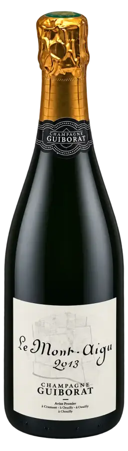 Le Mont Aigu 2013