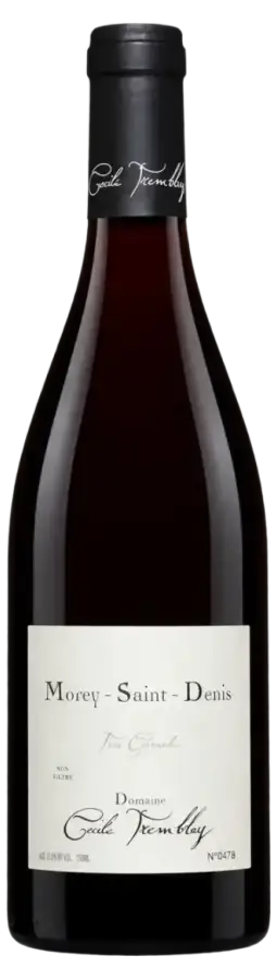 Morey-Saint-Denis Très Girard 2019