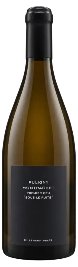 Puligny-Montrachet Premier Cru Sous le Puits 2022