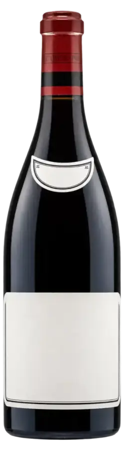 Morey-Saint-Denis Très Girard 2021