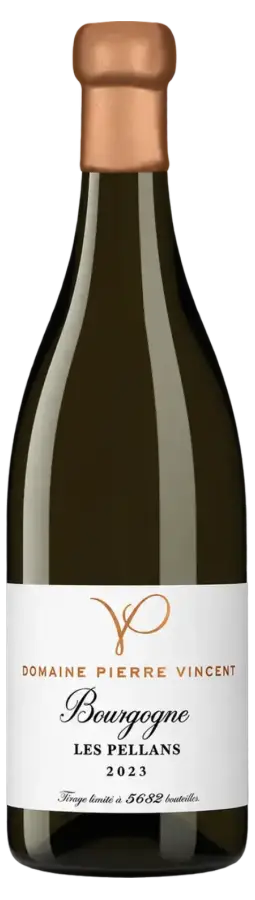 Bourgogne Les Pellans 2023