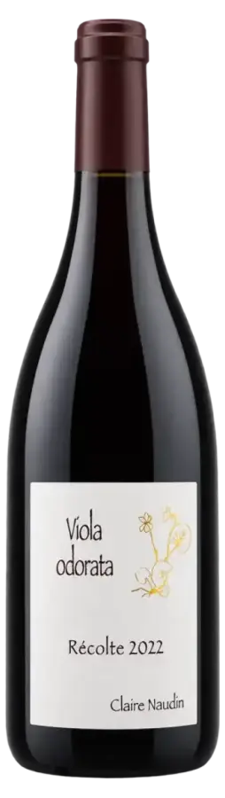 Viola Odorata Côte de Nuits-Villages 2022