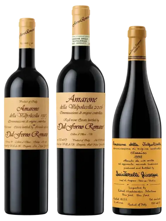 Amarone della Valpolicella Classico 1998