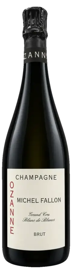 Ozanne NV