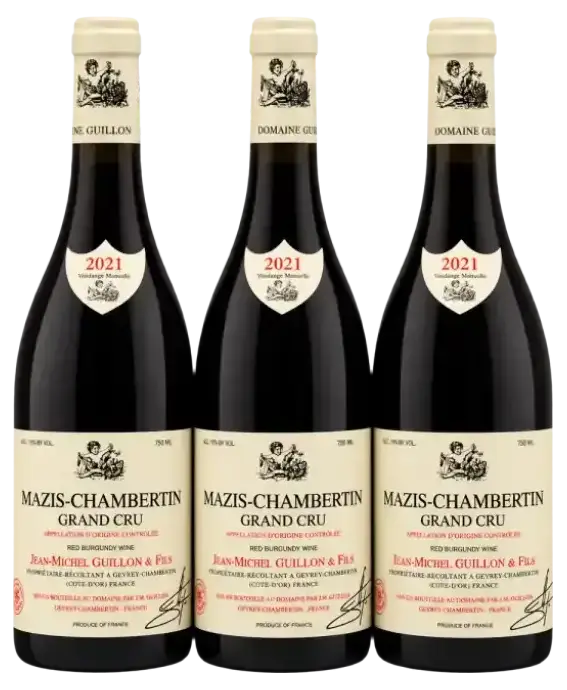 Mazis-Chambertin Grand Cru 2021